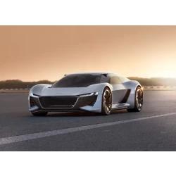 Audi PB18 e-tron