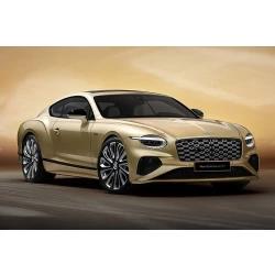 Bentley Continental GT Mulliner